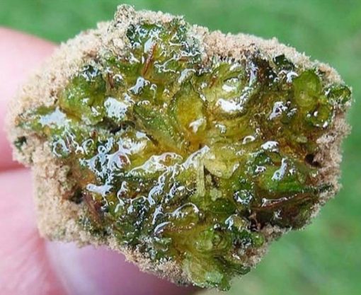buy Green Crack moonrocks for sale legalonlinecannabisdispensary